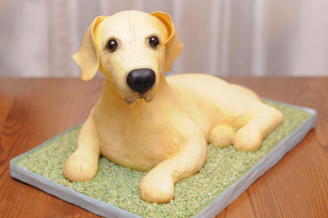 Sculpted best sale dog cake